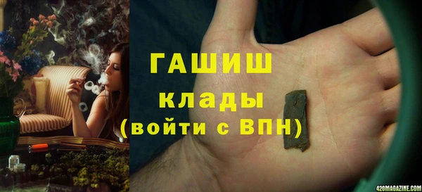 сатива Армянск