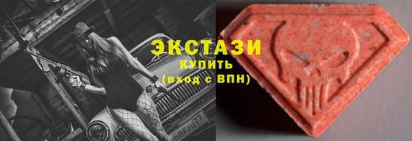 хмурый Арсеньев