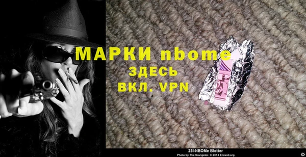 хмурый Арсеньев