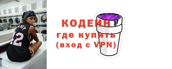 хмурый Арсеньев