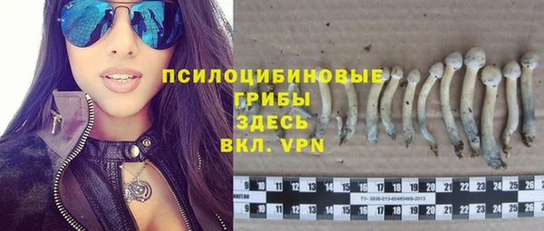сатива Армянск