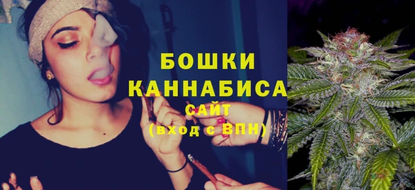 хмурый Арсеньев