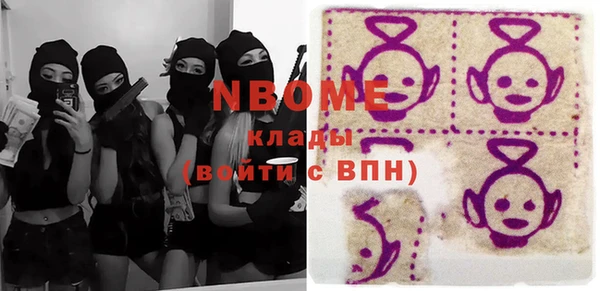 хмурый Арсеньев
